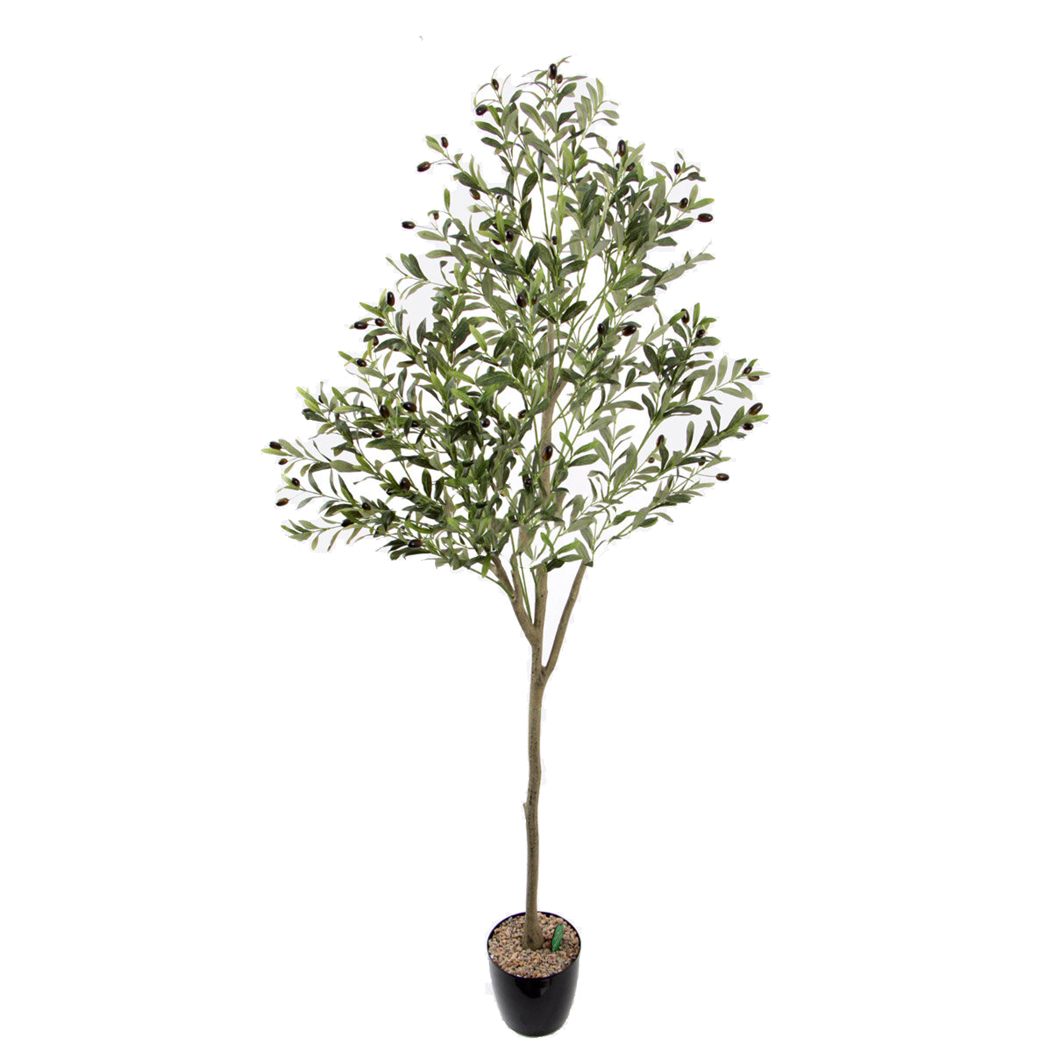 zeytin_agaci1